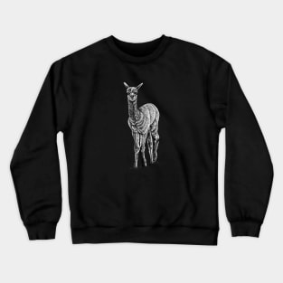 Baby alpaca - ink illustration Crewneck Sweatshirt
